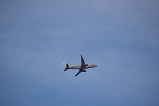 DSC_0008.JPG