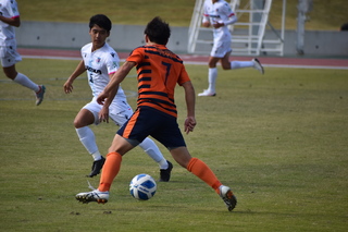 DSC_0082.JPG