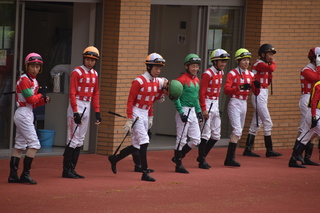 DSC_0085.JPG