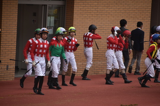 DSC_0086.JPG