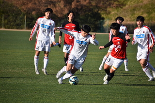 DSC_0117.JPG