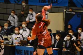 DSC_0215.JPG
