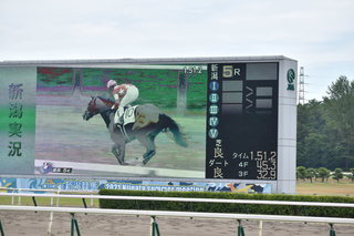 DSC_0377.JPG