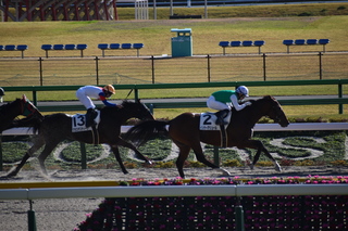 DSC_0480.JPG
