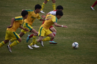 DSC_0600.JPG
