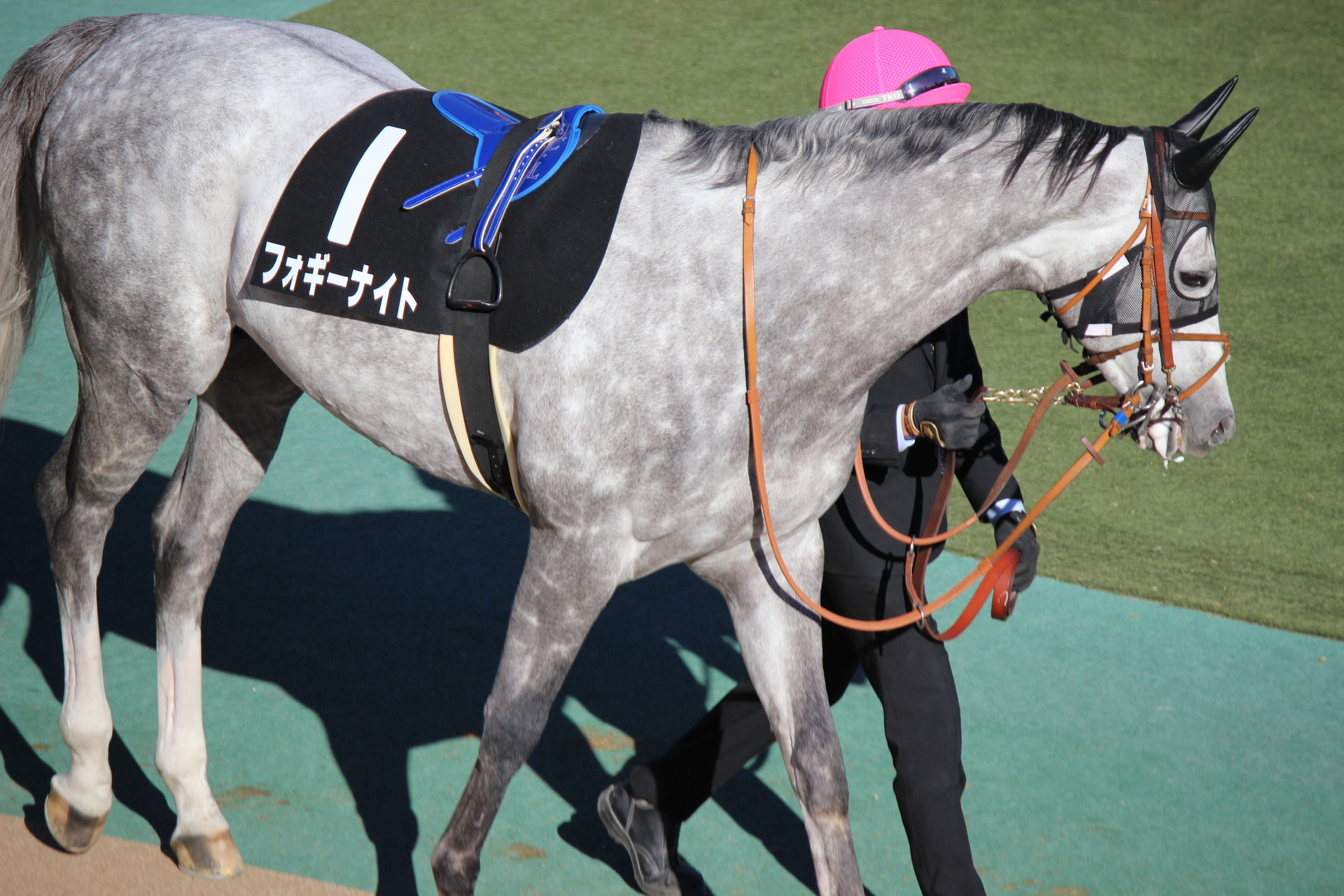 2 9 府中競馬 東京新聞杯ほか 通勤準急スタジアム行き３