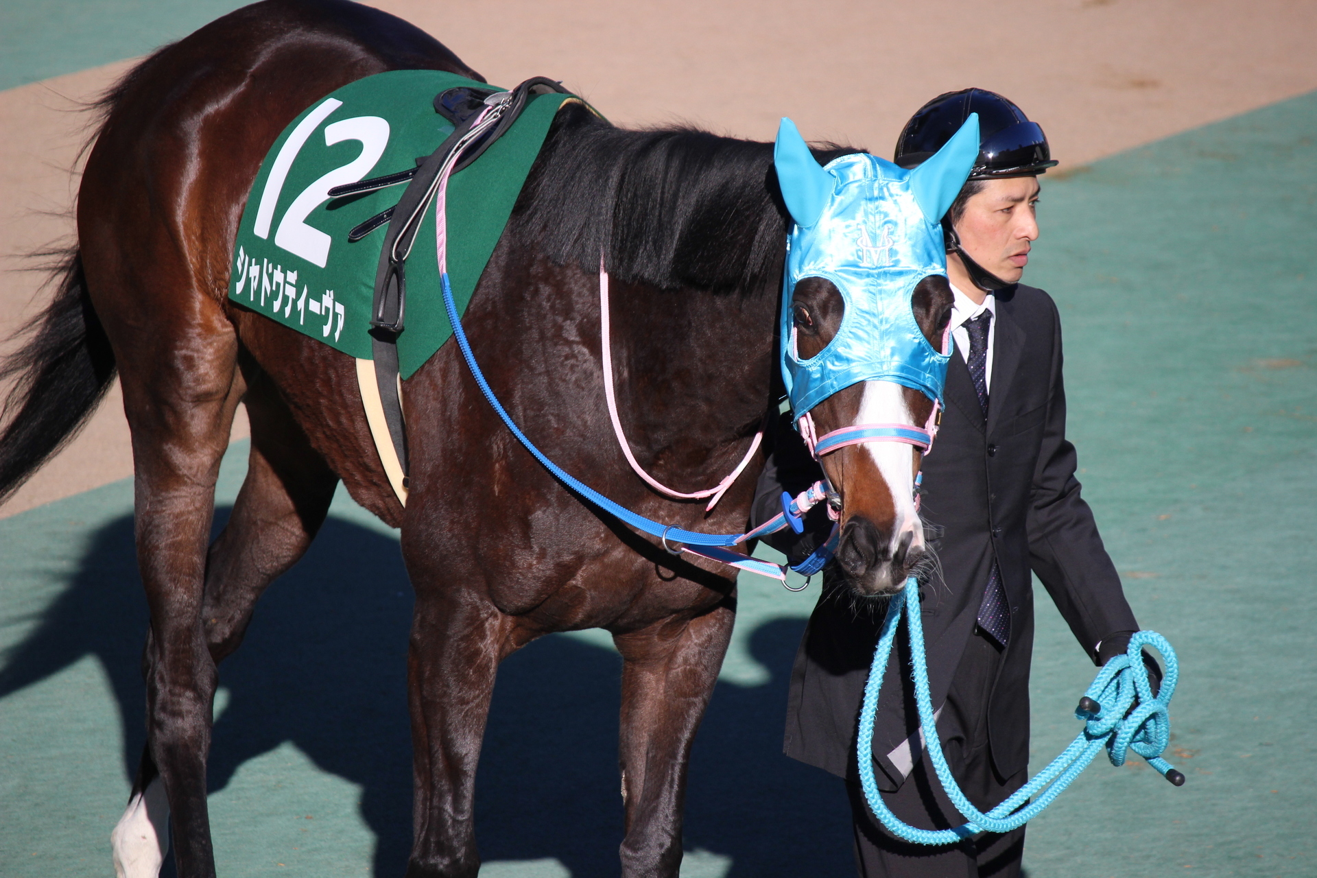 2 9 府中競馬 東京新聞杯ほか 通勤準急スタジアム行き３