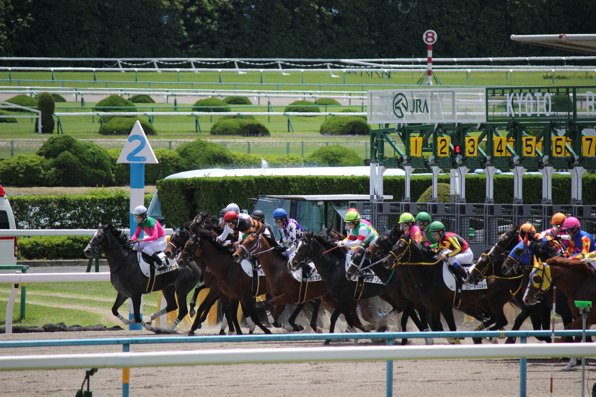 18 5 京都競馬 8rまで 通勤準急スタジアム行き３