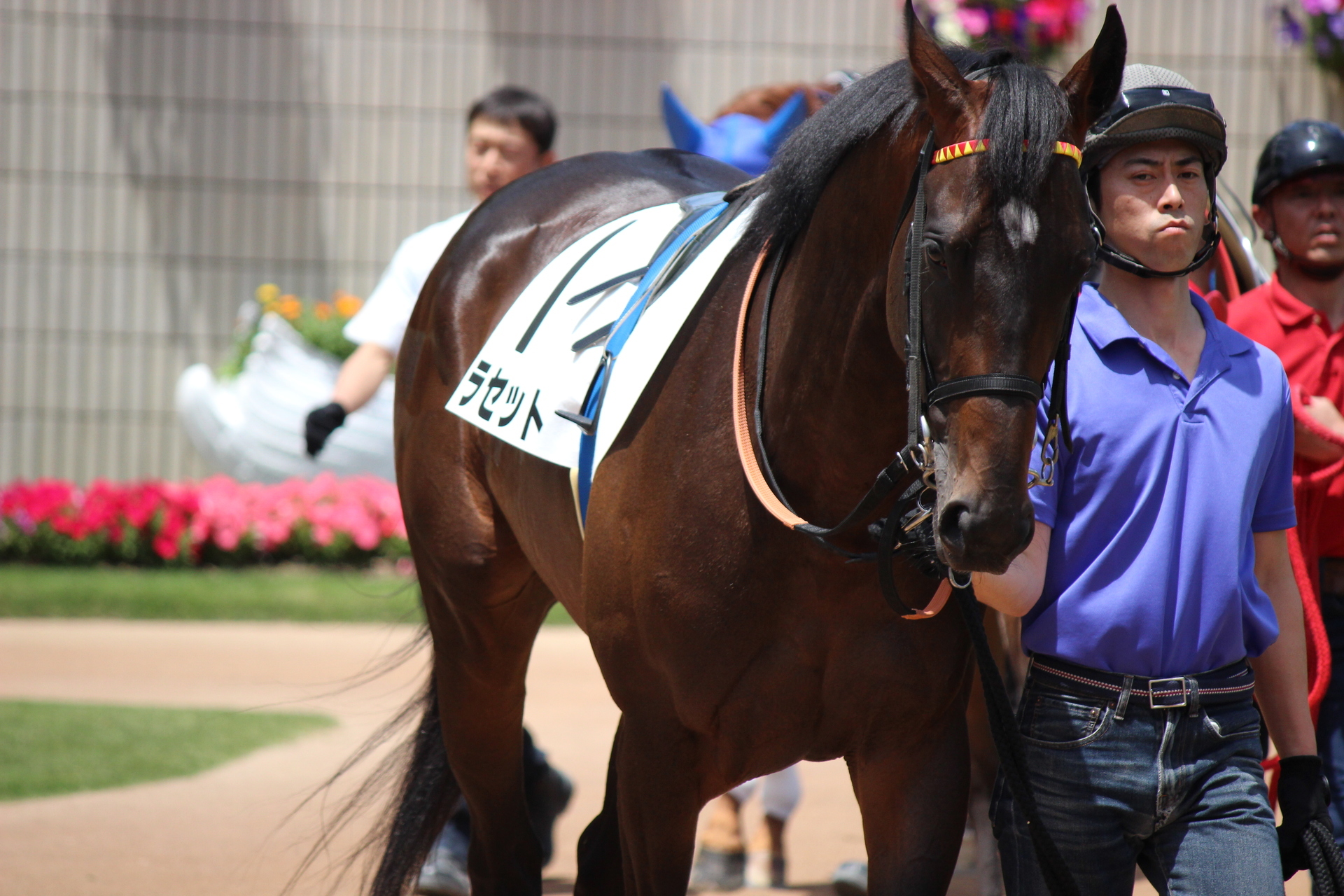 18 5 京都競馬 8rまで 通勤準急スタジアム行き３