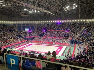 IMG_8804.jpg