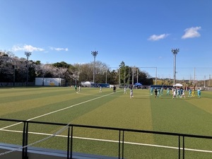 IMG_9153.jpg